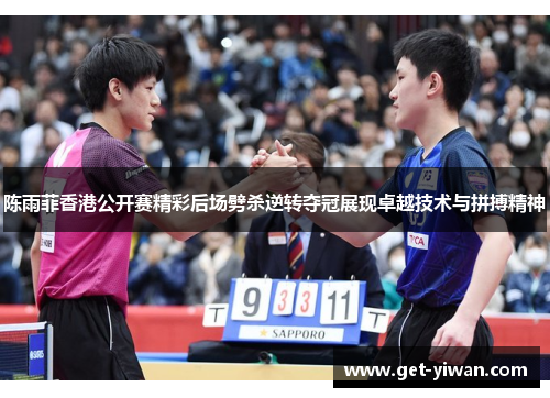 陈雨菲香港公开赛精彩后场劈杀逆转夺冠展现卓越技术与拼搏精神