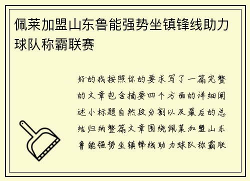 佩莱加盟山东鲁能强势坐镇锋线助力球队称霸联赛 佩莱加盟山东鲁能强势坐镇锋线助力球队称霸联赛